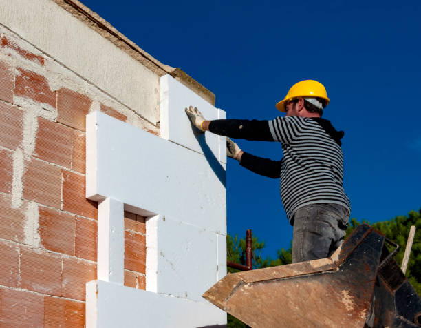 Best Insulation Maintenance and Repair in Plains, TX