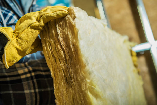 Best Eco-Friendly Insulation in Plains, TX