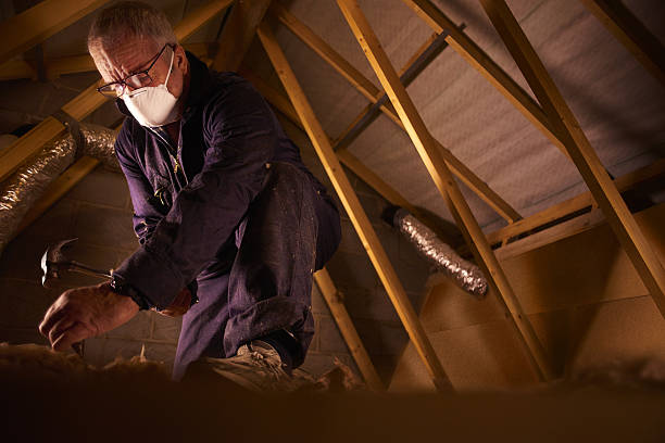 Types of Insulation We Offer in Plains, TX