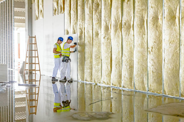 Best DIY Insulation Kits and Guidance in Plains, TX